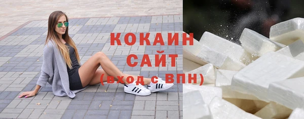 тгк Абаза