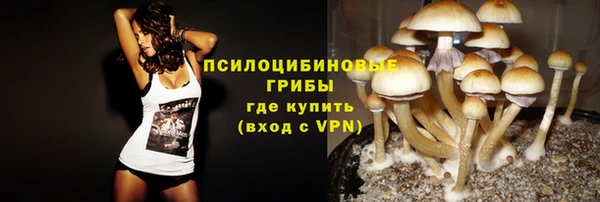 тгк Абаза