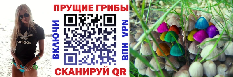 купить закладку  Бирюсинск  Псилоцибиновые грибы Magic Shrooms 